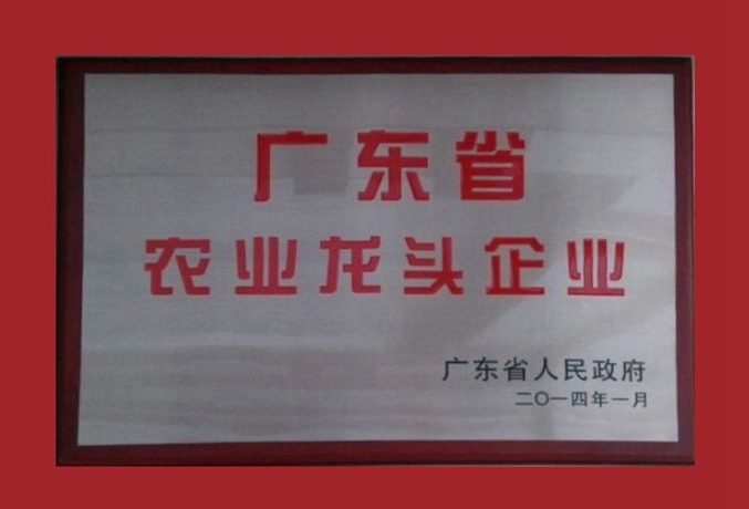 广东省农业龙头企业
