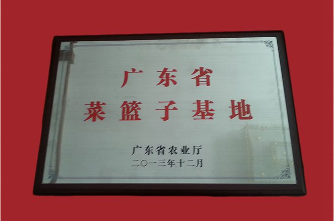 广东省菜篮子基地